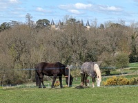 Bienvenue à NATURE EN EQUILibre